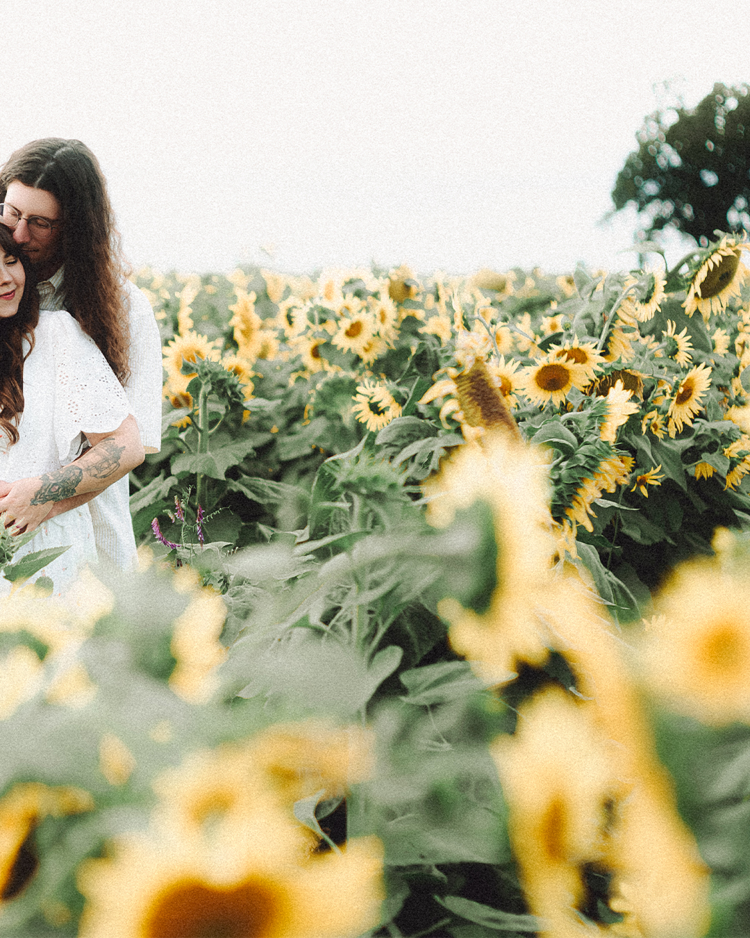 Lovestory Pregnancy Announcement Among the Sunflowers of the Wooden Shoe Tulip Farm — photograph 12 of 39